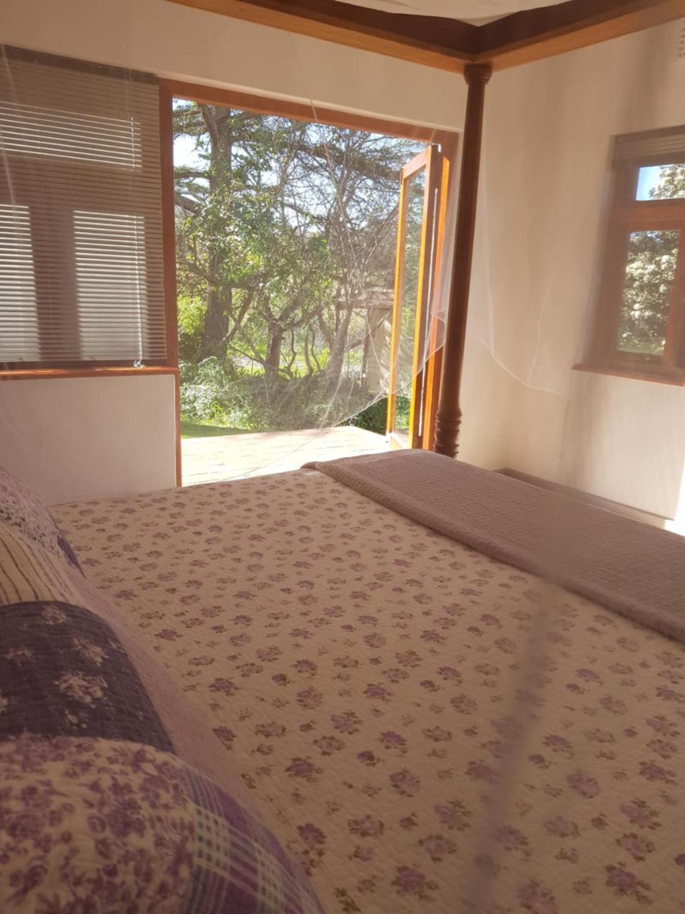 Te Amo Guesthouse Стелленбос Экстерьер фото